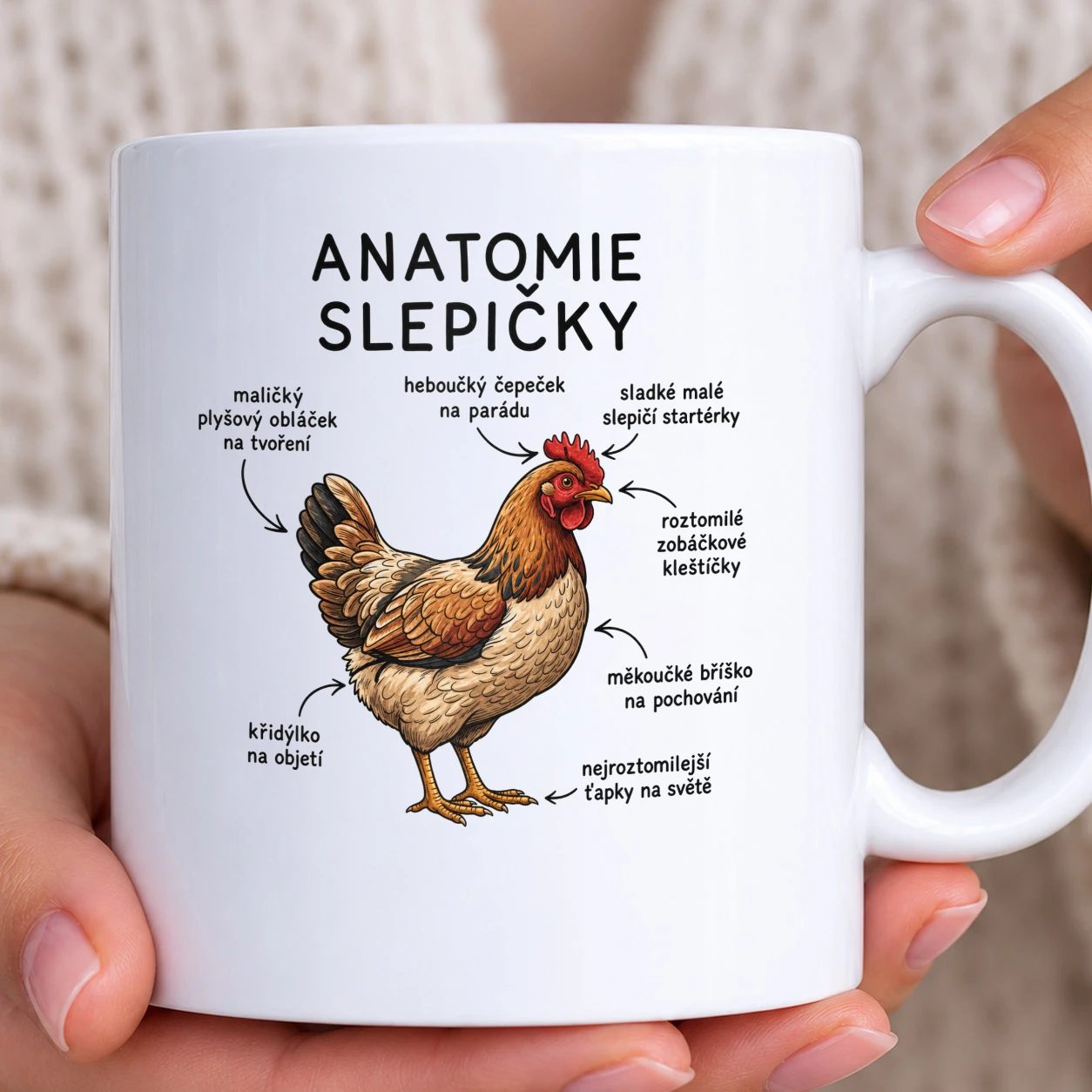 Hrnek bílý - Anatomie slepičky