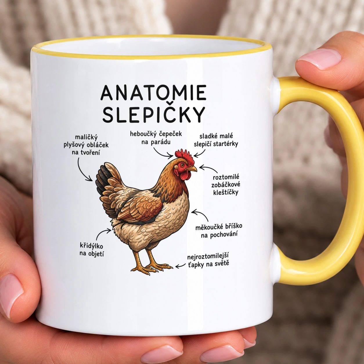 Hrnek s barevným lemem - Anatomie slepičky